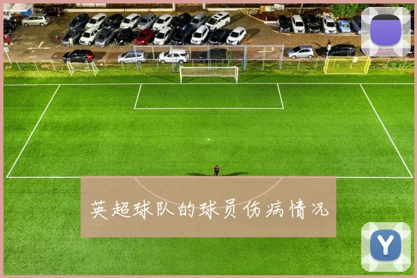 英超球队的球员伤病情况